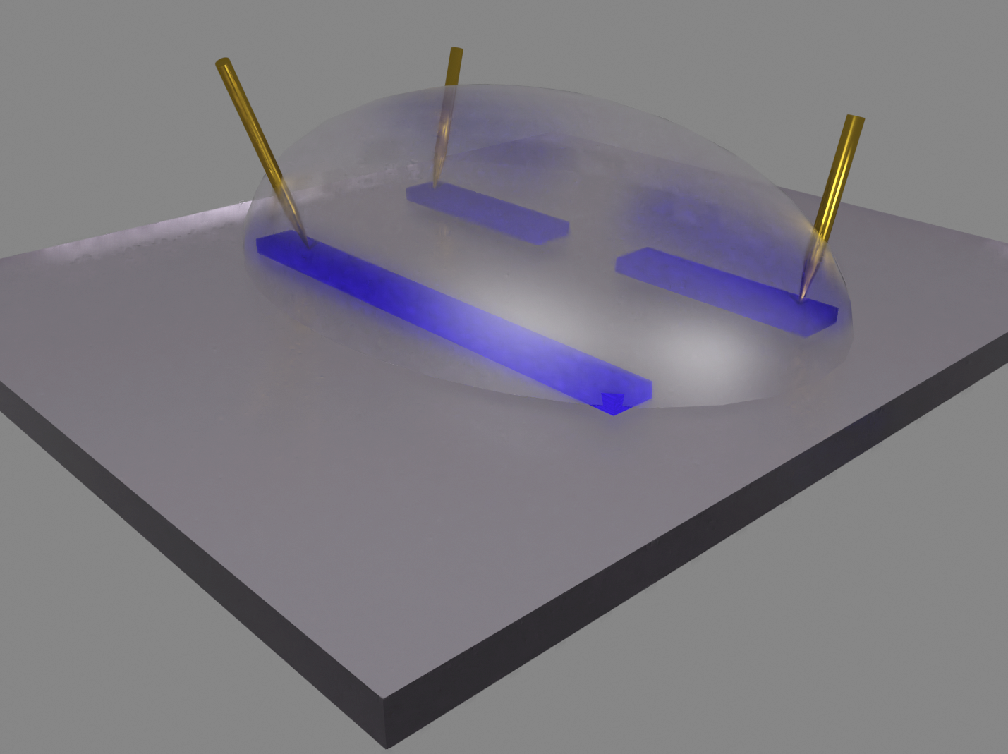 Organic Electrochemical Transistor